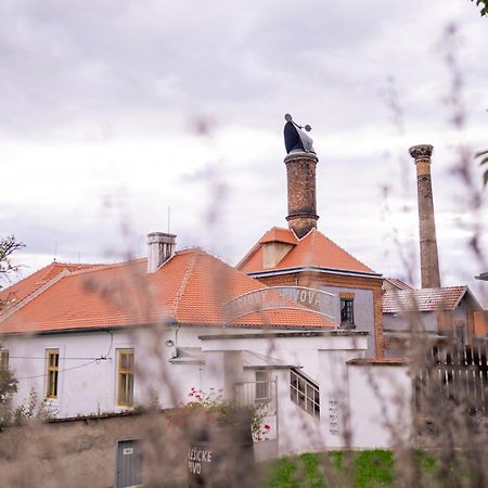 Pivovarsky Hotel Dalesice Экстерьер фото