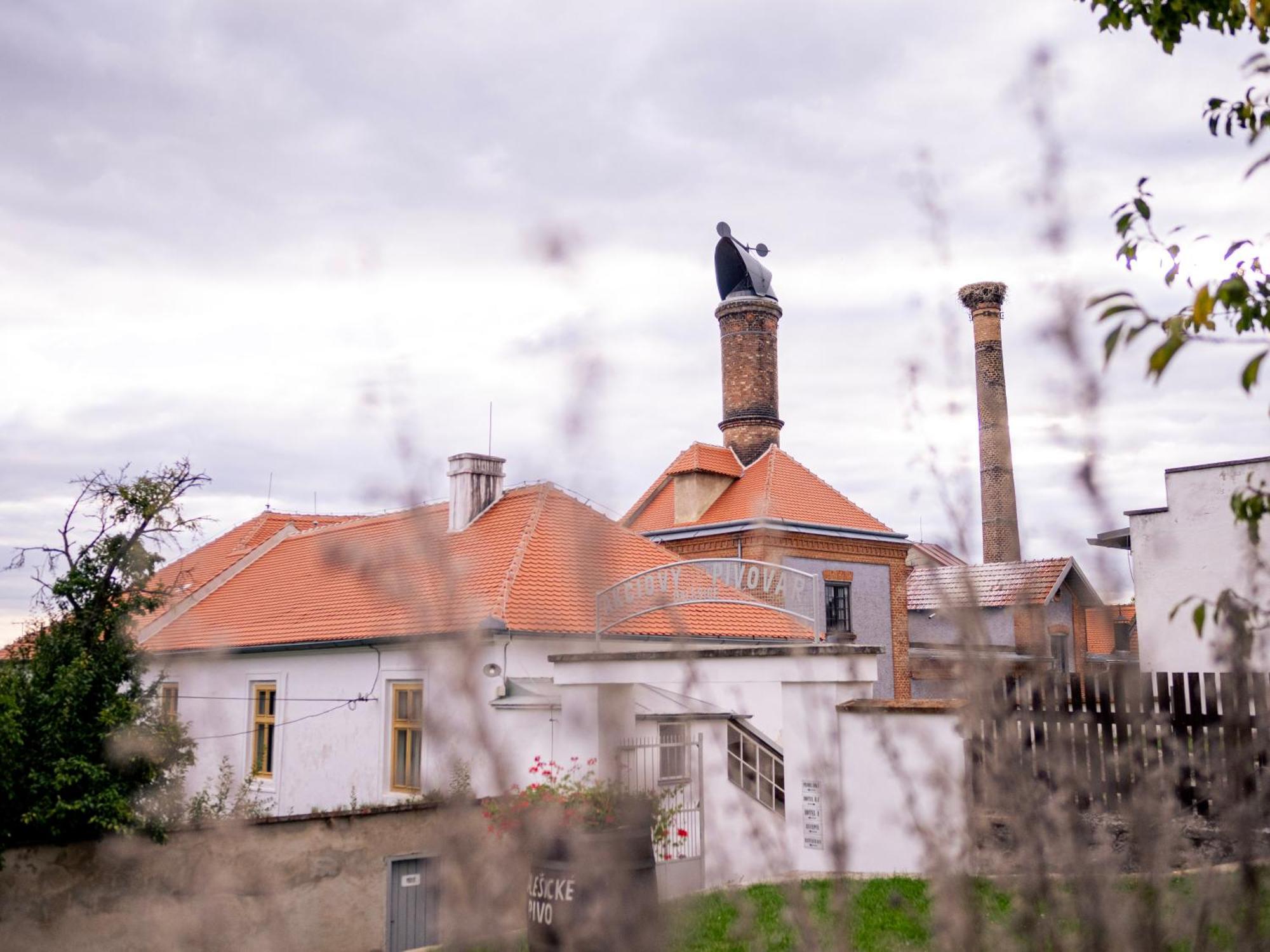 Pivovarsky Hotel Dalesice Экстерьер фото